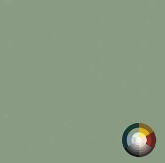 02726 - Saliegroenen eilandkeuken