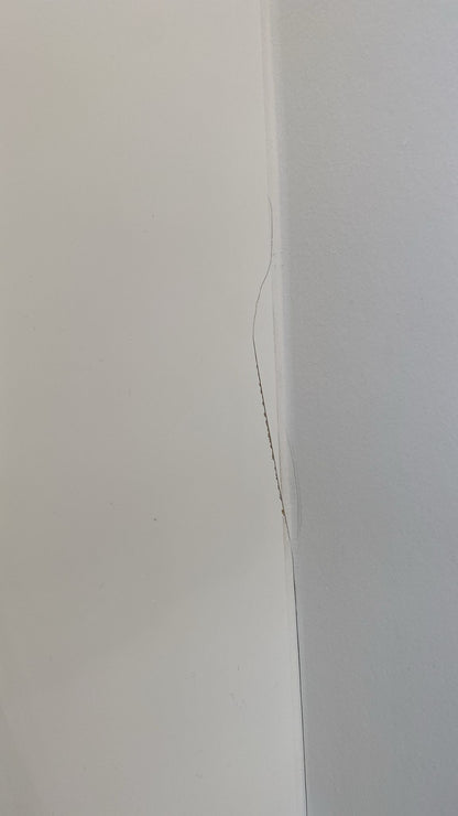 03381 - Hoogglans witte eilandkeuken